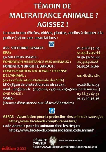 en cas de maltraitance