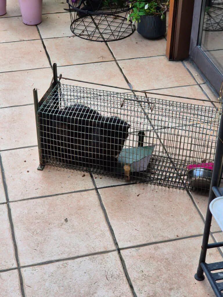 Prise en charge