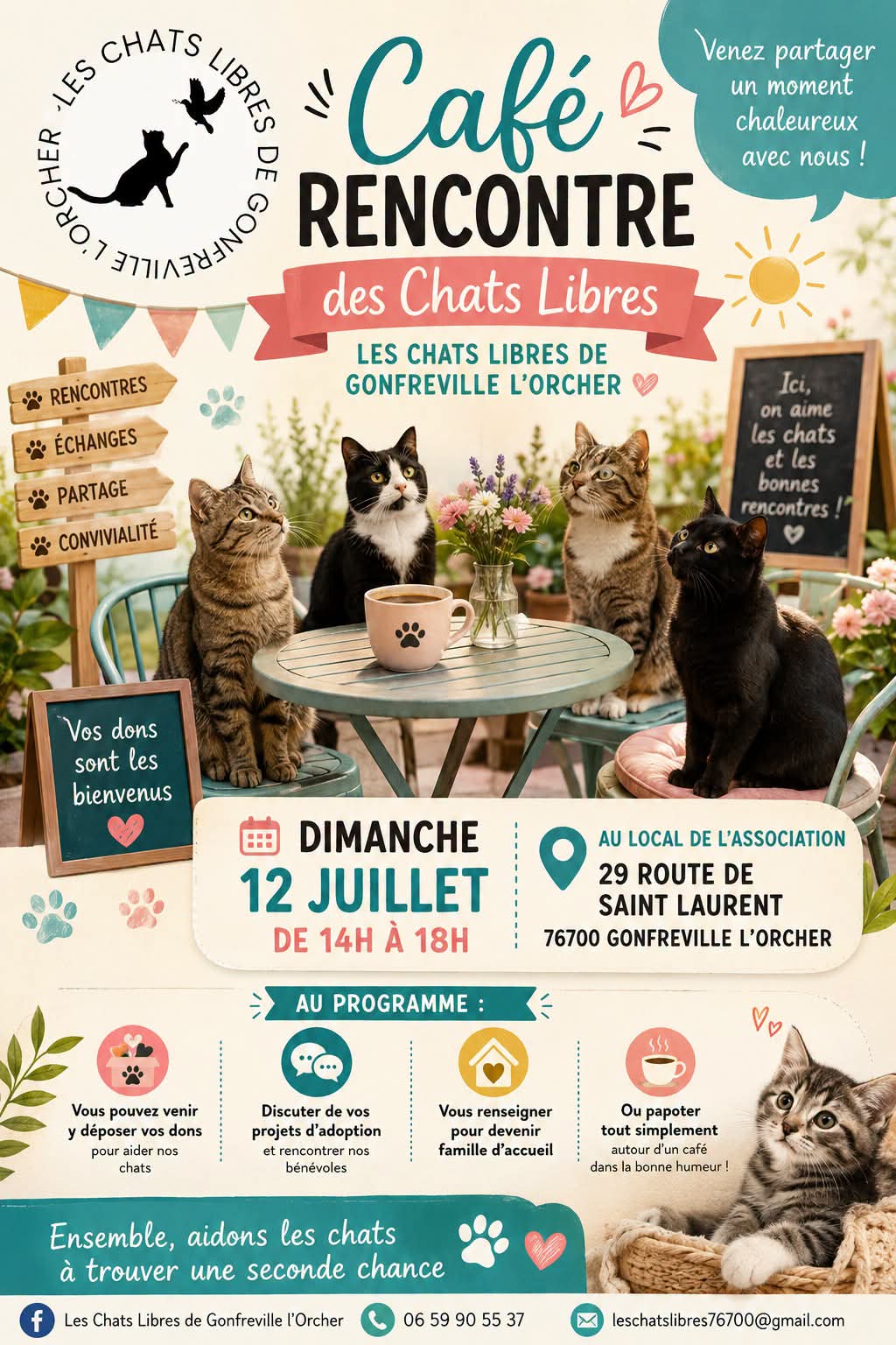 CAFÉ RENCONTRE DES CHATS LIBRES