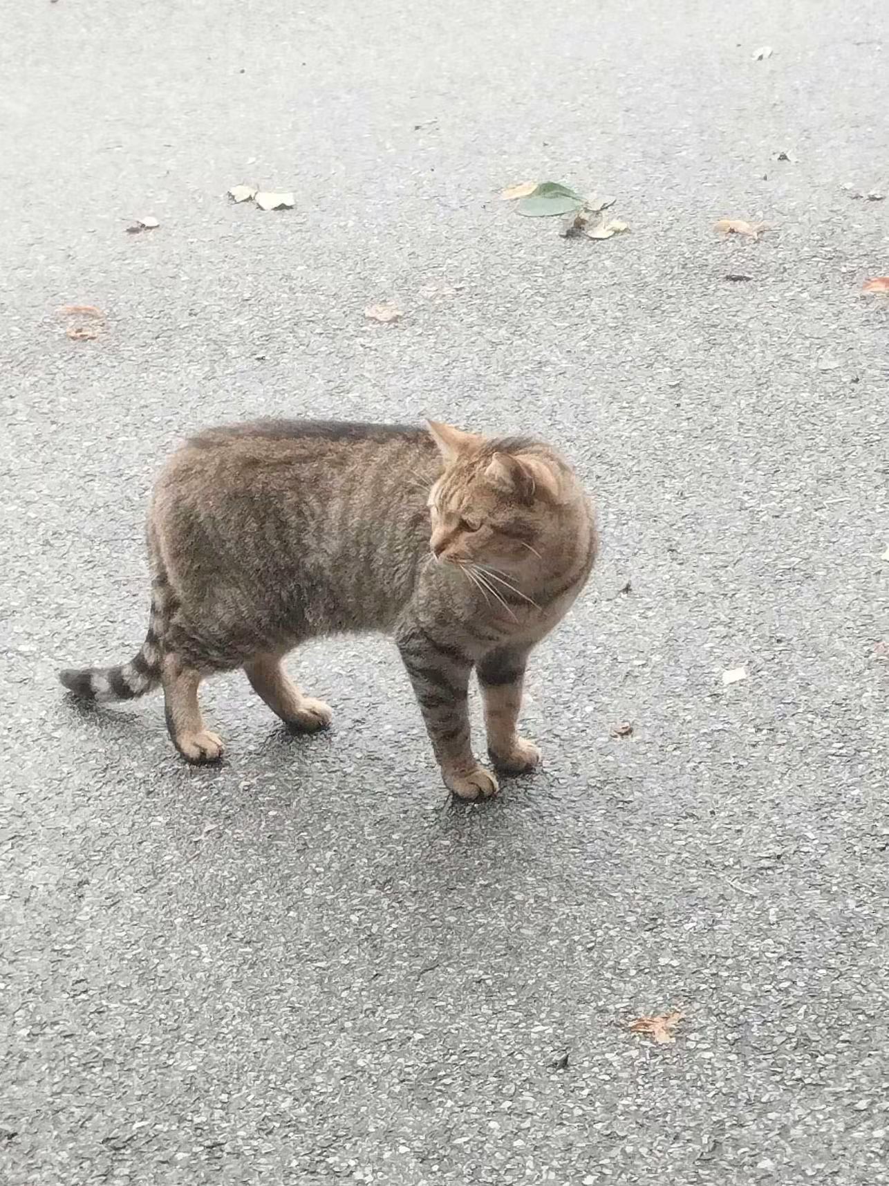 ⚠️ Il est rentré dans son foyer