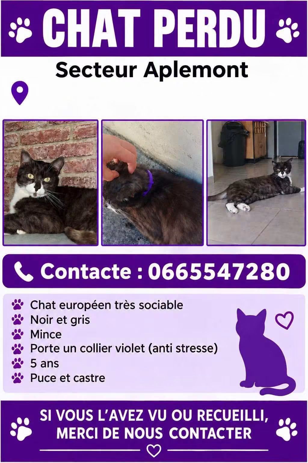 ️Secteur Aplemont- Le Havre