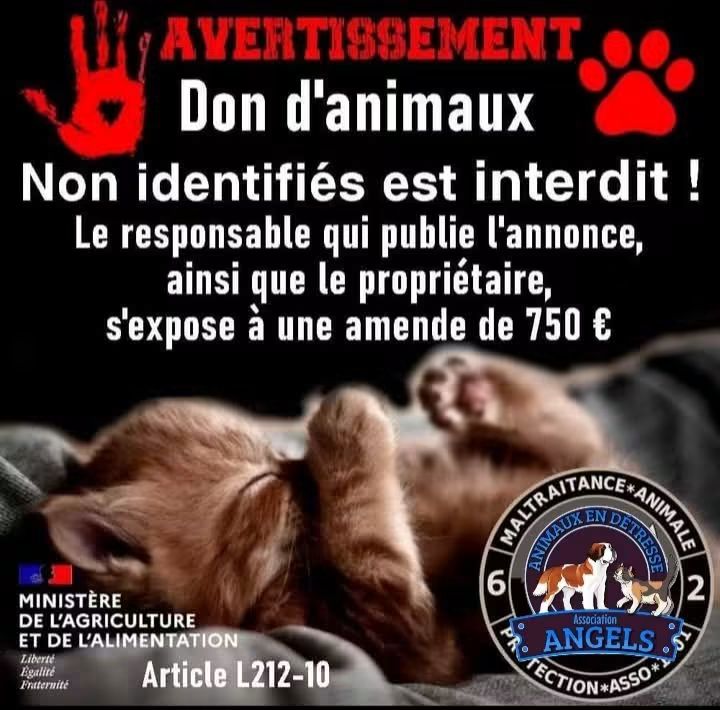 Petit rappel