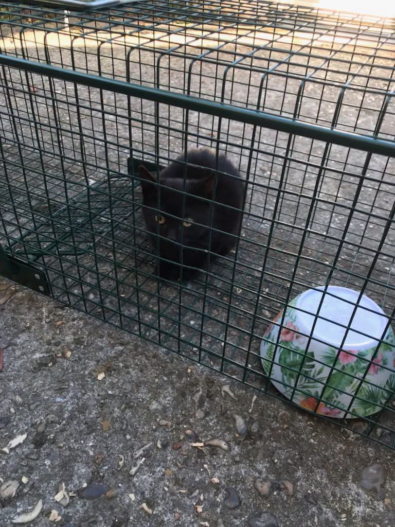 Nouvelle prise en charge à l'instant.