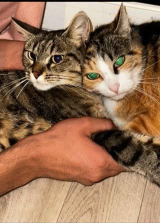 Nouvelle prise en charge Vendredi 😺