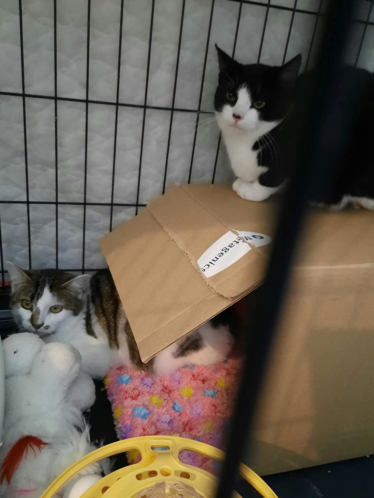 Nouvelle prise en charge hier
